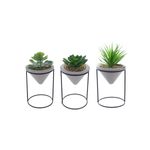 Planta artificial decorativa suculenta Concepts, set de tres variedades en macetas cónicas con soportes metálicos negros
