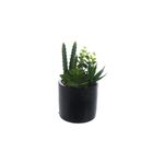 Planta artificial decorativa suculenta Concepts, arreglo de hojas verdes en maceta cilíndrica color negro