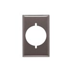 Placa para toma sencillo metálica color níquel 30 y 50 A Eagle, vista frontal del accesorio con apertura circular