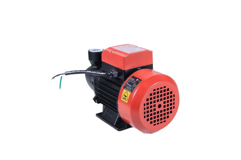 Electrobomba periférica 110/127 V, 60 Hz, 3/4 HP, cobre Ducati, vista lateral trasera con cables eléctricos expuestos