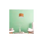 Lámpara colgante níquel satinado 2L E27 60W D 32 cm circular Ikelite, instalada en ambiente con pared verde y dos sillas