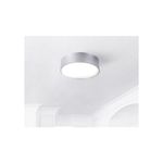 Lámpara de techo plafón Canarm de aluminio 2L 60W, instalada en techo blanco y encendida emitiendo luz blanca