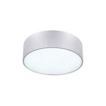Lámpara de techo plafón Dexter aluminio 2L 60W Canarm, vista frontal en ángulo con acabado satinado y difusor blanco