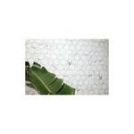 Mosaico hexagonal 33 x 29.8 Oslo blanco mármol mate Togama, vista frontal del revestimiento con una hoja verde decorativa
