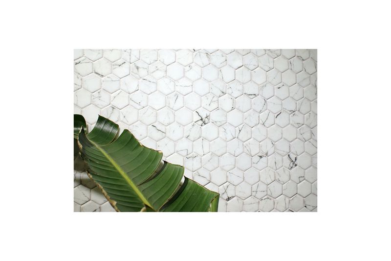 Mosaico hexagonal 33 x 29.8 Oslo blanco mármol mate Togama, vista frontal del revestimiento con una hoja verde decorativa