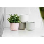Macetera cerámica redonda de 15 cm colores varios Koopman, grupo de cuatro unidades en tonos rosa, blanco, gris y verde