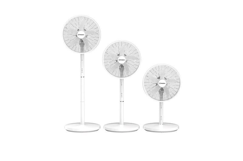 130543812-1