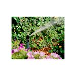 Boquilla arbusto para aspersor de 1/2 pulgada Rain Bird, en funcionamiento regando plantas con chorro de agua pulverizado