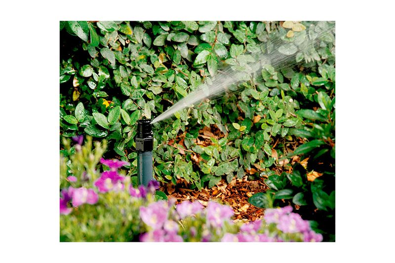 Boquilla arbusto para aspersor de 1/2 pulgada Rain Bird, en funcionamiento regando plantas con chorro de agua pulverizado
