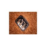 Válvula de control para aspersión de 1 pulgada Rain Bird, varias unidades instaladas en caja subterránea con grava y mulch