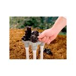 Kit de reemplazo de diafragma Rain Bird, mano instalando el diafragma de caucho negro en una válvula de riego blanca