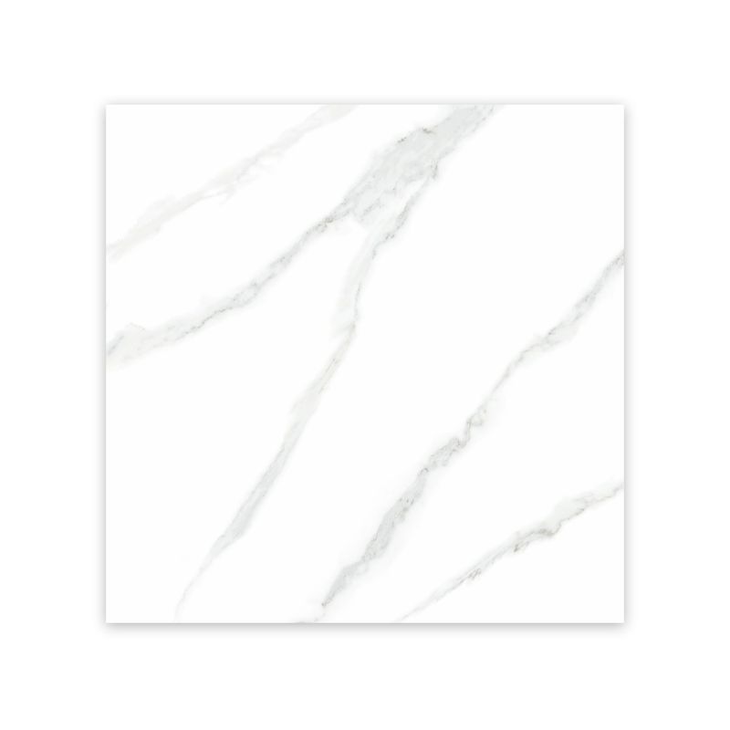 160343053-2.jpg