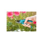 Tijera de mano 22 mm bypass 2 posiciones inox 8857-20 Gardena, siendo utilizada por una mano para podar un rosal