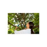 Cortarramas corto 50 cm aluminio bypass 42 mm Gardena, siendo utilizado por una mujer para podar las ramas de un árbol