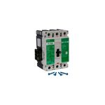 Main breaker 3P FI CH 480V 125Amp-Loc Eaton, vista frontal del interruptor con cuatro tornillos azules al frente