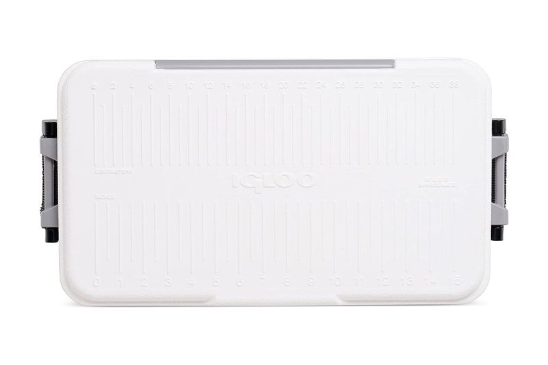 Hielera 25 qt blanco Marine Ultra Igloo, vista superior de la tapa con reglas graduadas en centímetros y pulgadas