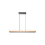 Lámpara colgante LED Camacho negro/madera Eglo, vista frontal de la luminaria alargada con soporte de techo
