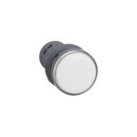 Luz piloto 22 mm XA2 LED blanco 110V Square D, vista frontal diagonal del lente blanco y cuerpo gris