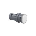 Luz piloto 22 mm XA2 LED blanco 110 V Square D, vista lateral detallando el cuerpo gris y el lente circular