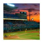 Reflector LED Sylflood 400 W 5000 K CW 45 D Sylvania, ejemplo de uso iluminando un estadio de béisbol al atardecer