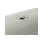 Sanitario Milán simple descarga 2 piezas push blanco Franz Viegener, acercamiento al botón de descarga cromado
