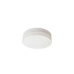 Luminaria de techo plafón 2L E27 60W vidrio opal/blanco Home Delight, vista frontal del difusor circular blanco