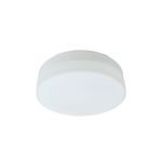 Luminaria de techo plafón 2L E27 60W vidrio opal blanco Home Delight, vista frontal del difusor circular blanco