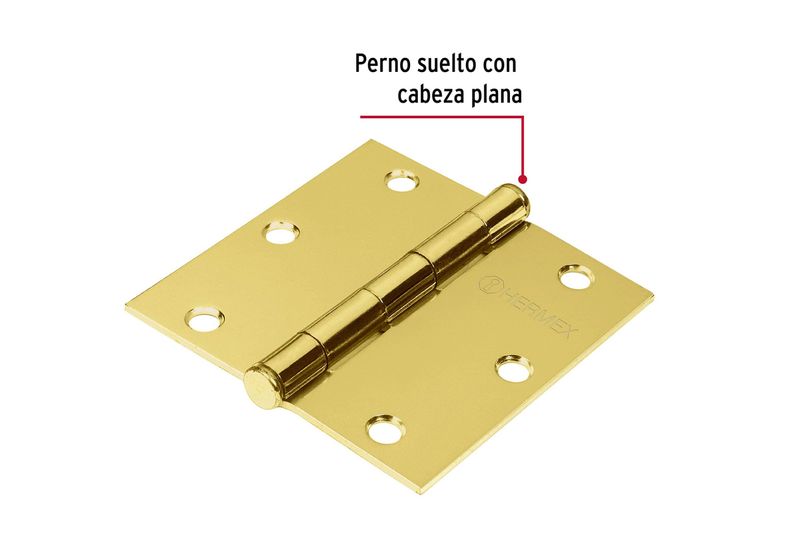 Bisagra cuadrada 2 pza 3-1/2 x 3-1/2 dorado Hermex, primer plano con indicador de perno suelto con cabeza plana