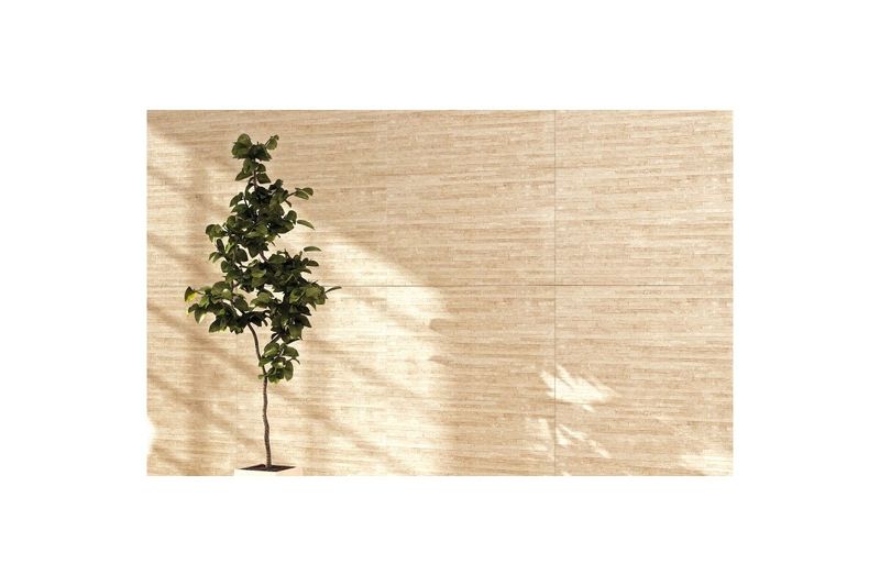 Fachaleta 32 x 57 Versano beige HD RLV satinado Fioranno, instalada en una pared con una planta decorativa al lado