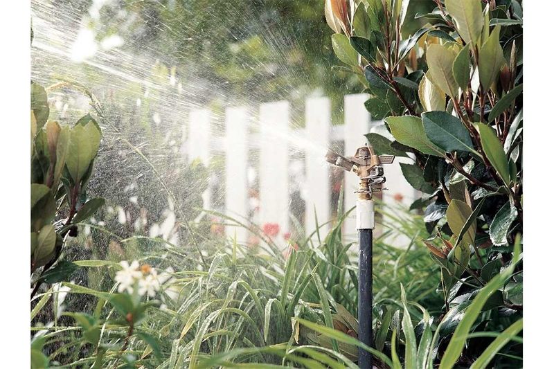 Aspersor para jardín de impacto Rain Bird bronce de 20-41 pies alcance, funcionando y regando plantas en un jardín