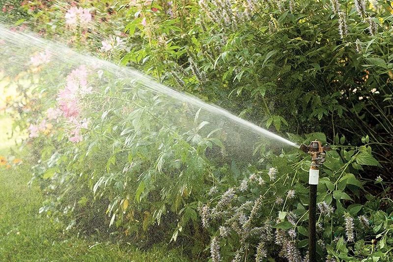 Aspersor para jardín de impacto Rain Bird bronce de 20-41 pies alcance, en uso regando plantas en un jardín